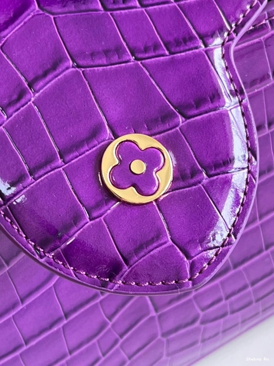 BB VUITTON CAPUCINES LOUIS 0728